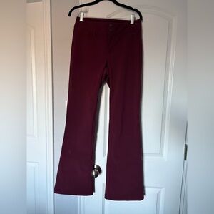 North Face- Burgundy Ski Pants